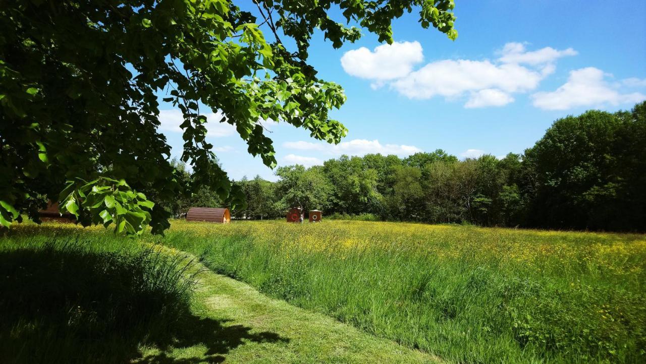 Domaine De La Grangee Villa La Chapelle-Blanche-Saint-Martin Eksteriør bilde