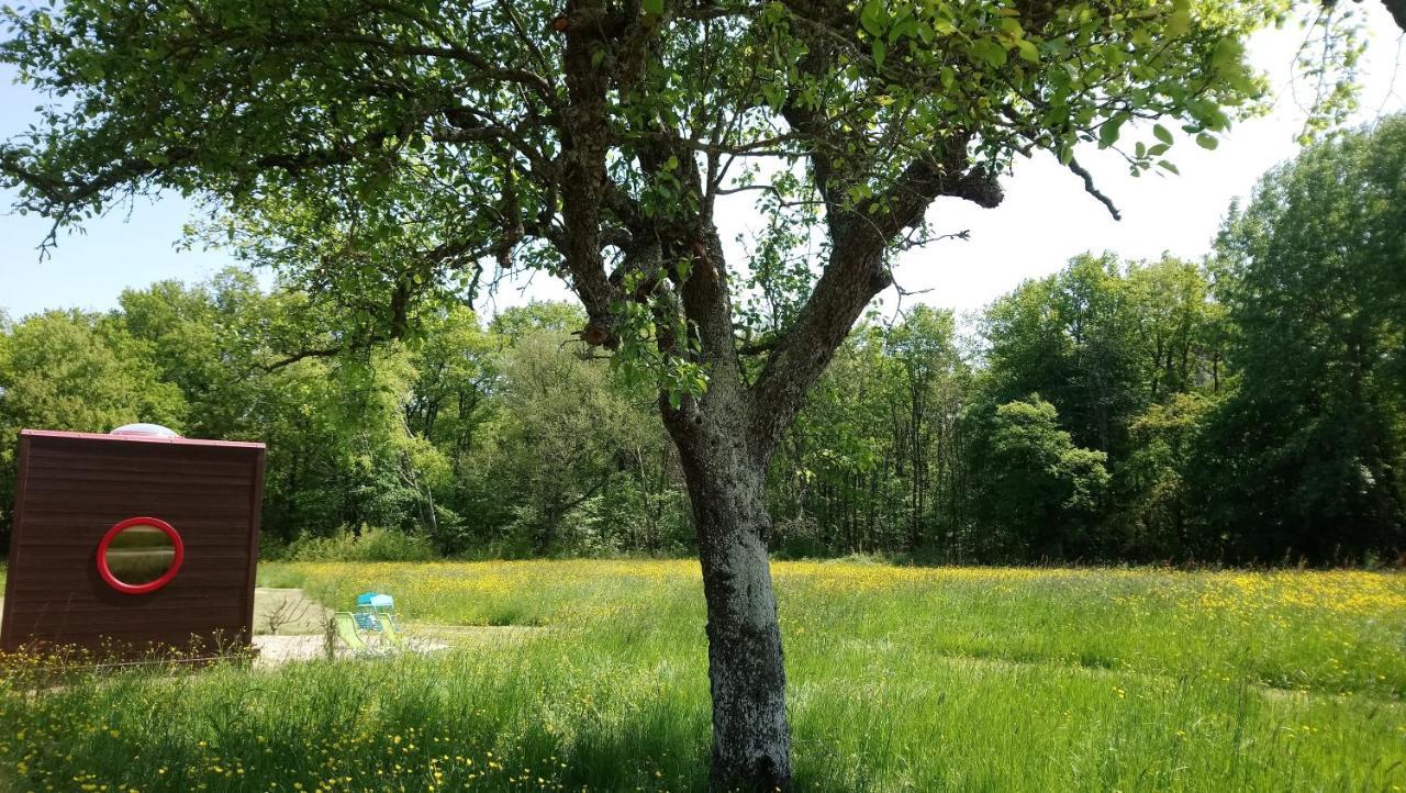 Domaine De La Grangee Villa La Chapelle-Blanche-Saint-Martin Eksteriør bilde